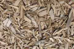 biomass boilers Gyrn
