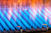 Gyrn gas fired boilers